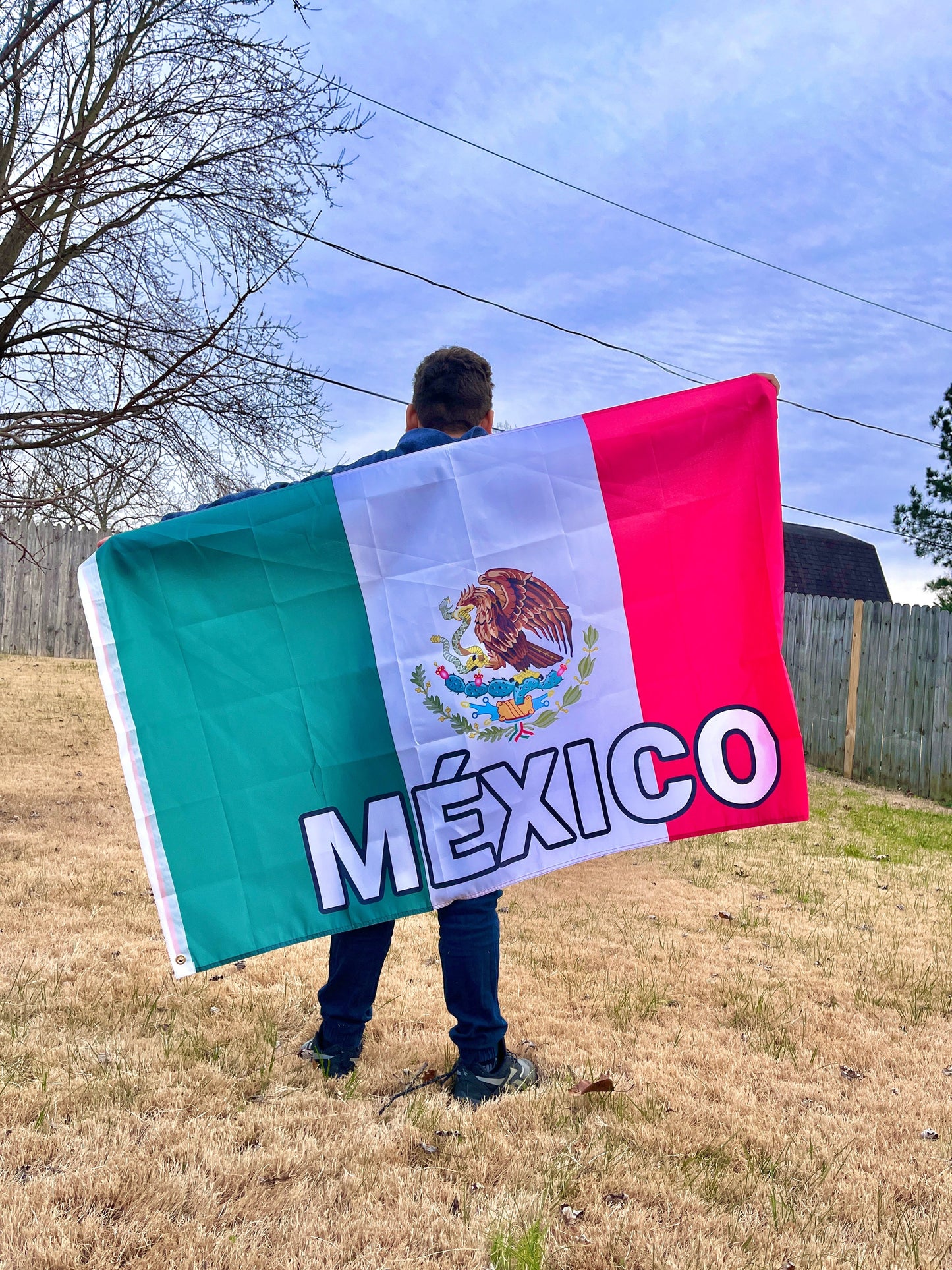 BANDERA DE MÉXICO
